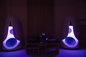 Акустические системы А2О-018 на выставке Hi-Fi and High-End Show, весна 2016г. Нажмите для увеличения изображения.